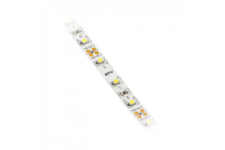 GTV Taśma Flash 2835MW, 300 LED cieply bialy, 3,8W/m, bez zelu 8mm, rolka 5mb, 12V