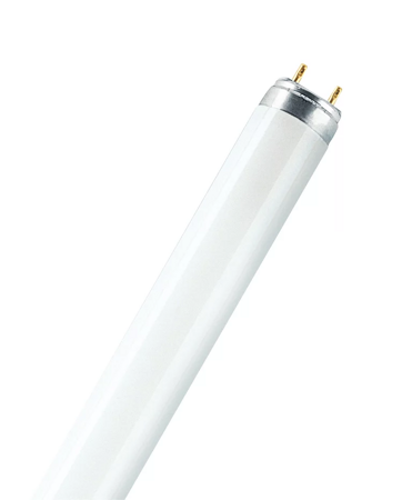LEDVANCE Świetlówka liniowa LUMILUX T8 L 18W/840